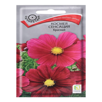 Космея Сенсация
