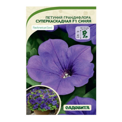 Петуния суперкаскадная синяя