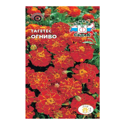 Тагетес (бархатцы) Огниво