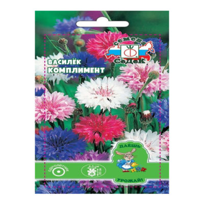 Семена Василек Комплимент