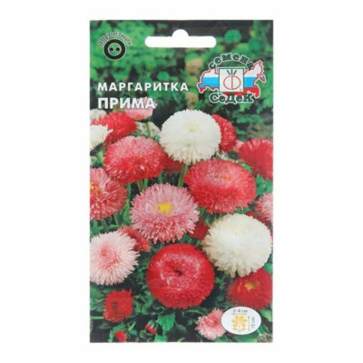 Семена Маргаритка Прима