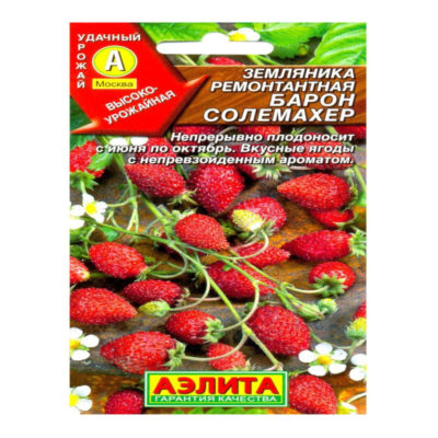 Земляника ремонтантная Барон Солемахер