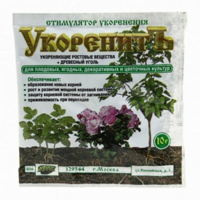 Укоренитъ 10гр