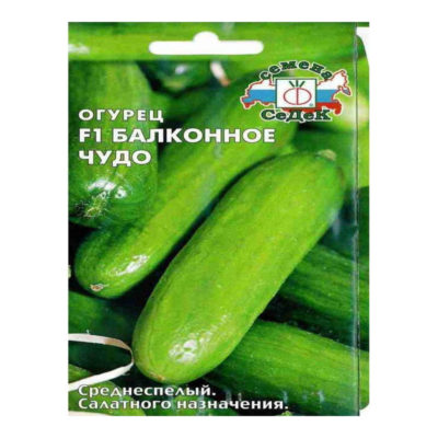 Огурец Балконное Чудо