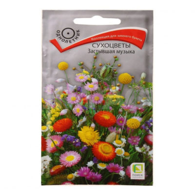 Семена Сухоцветы Застывшая музыка F1