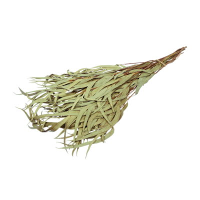 Веник эвкалиптовый "HOT POT"