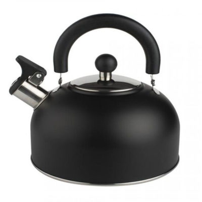 Чайник нерж 2