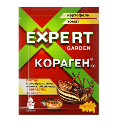 Кораген Картофель